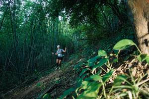 BIB: 
                            <button type="button" onclick="openModal(28124741)" class="btn btn-primary btn-sm float-right btn-popup" data-toggle="modal" data-target=".modal-high-quality">
                        <i class="fas fa-shopping-cart"></i> Add to Cart
                    </button>
                                            <button type="button" onclick="isThisMe(28124741, true)" class="btn btn-success btn-sm float-right btn-popup btn-isme hidden" data-toggle="tooltip" data-placement="bottom" title="นี่คือรูปของคุณใช่ไหม คลิกที่นี่เพื่อเอาเข้าอัลบั้ม">
                        <i class="fas fa-plus"></i> Add to album
                    </button>
                    <button type="button" onclick="isThisMe(28124741, false)" class="btn btn-warning btn-sm float-right btn-popup btn-isnotme hidden">
                        <i class="fas fa-ban"></i> Remove from album
                    </button>